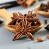 Anise Yll - Figura 2