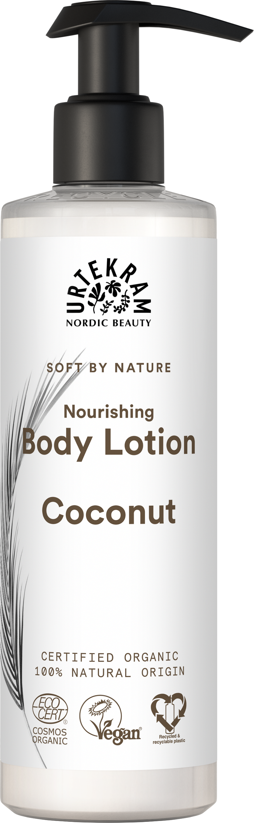 body lotion kokos bio