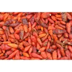 Spec Djeges Bio – Cayenne pepper - Image 2