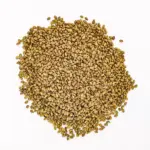 Farë Alfalfa Bio për Mbirje 120g | SONNENTOR - Image 2